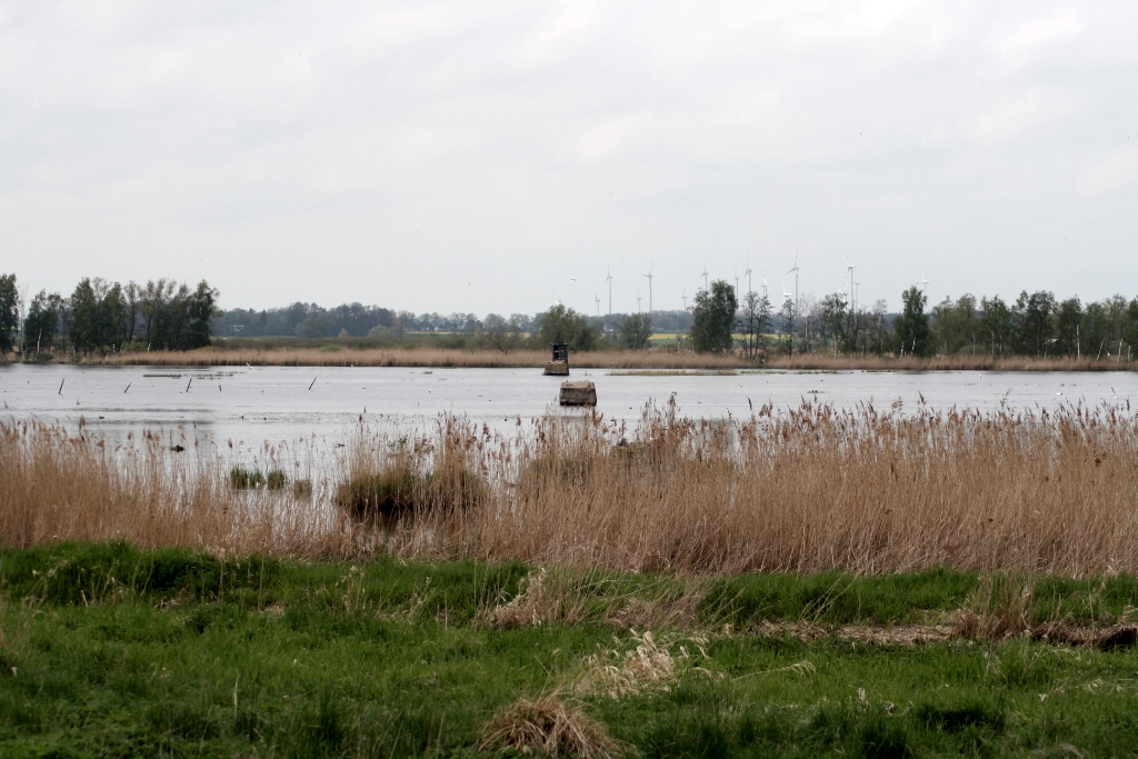 VWG vogelreis Oost Duitsland mei 2010 352